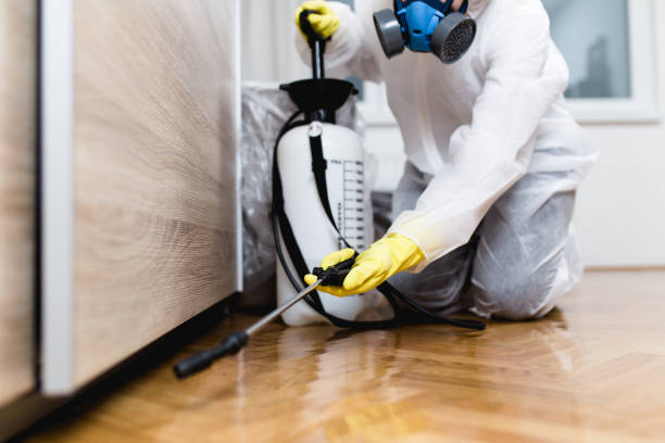 Best Emergency Pest Control  in Knollwood, IL