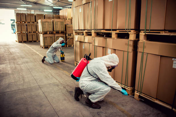 Best Pest Prevention Services  in Knollwood, IL