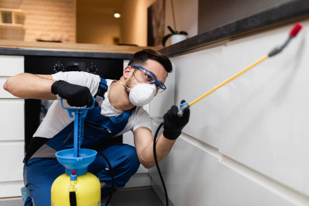 Best Affordable Pest Control Services  in Knollwood, IL