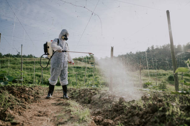 Best Commercial Pest Control Services  in Knollwood, IL