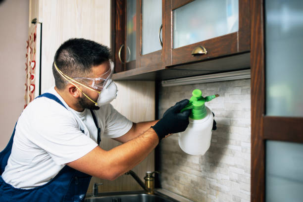 Best Wasp Removal Services  in Knollwood, IL