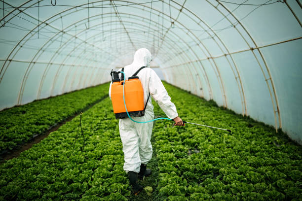 Best Best Pest Control Companies  in Knollwood, IL