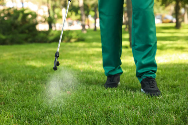 Best Termite Control Services  in Knollwood, IL