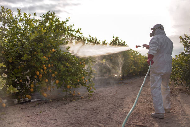 Best Pest Removal Services  in Knollwood, IL