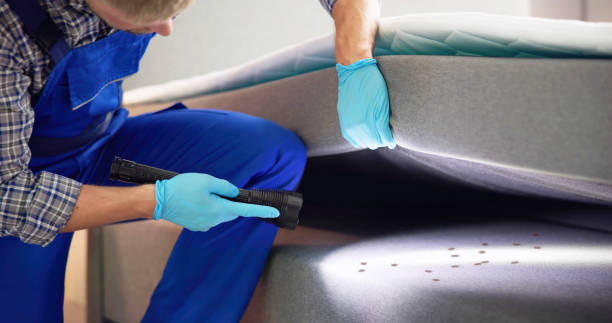 Knollwood, IL Pest Control Company