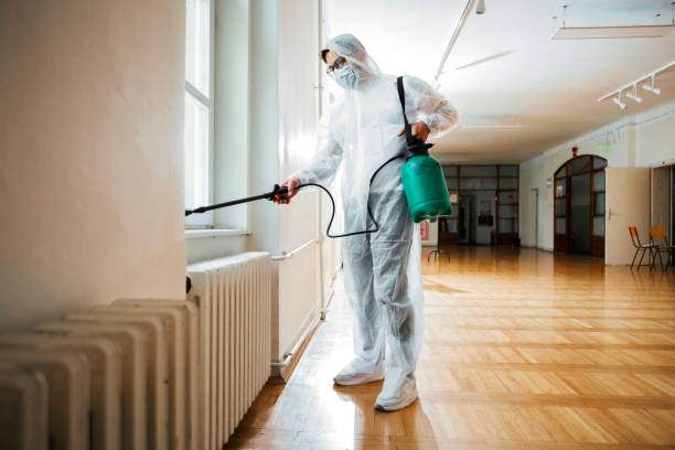 Best Insect Control  in Knollwood, IL